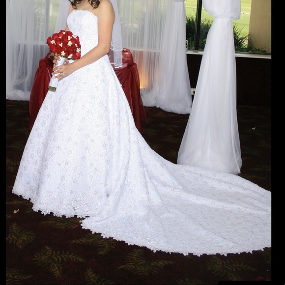 David's Bridal Dresses & Skirts - David’s Bridal Strapless, Lace, Princess Waist Wedding Dress w Swarovski Vail